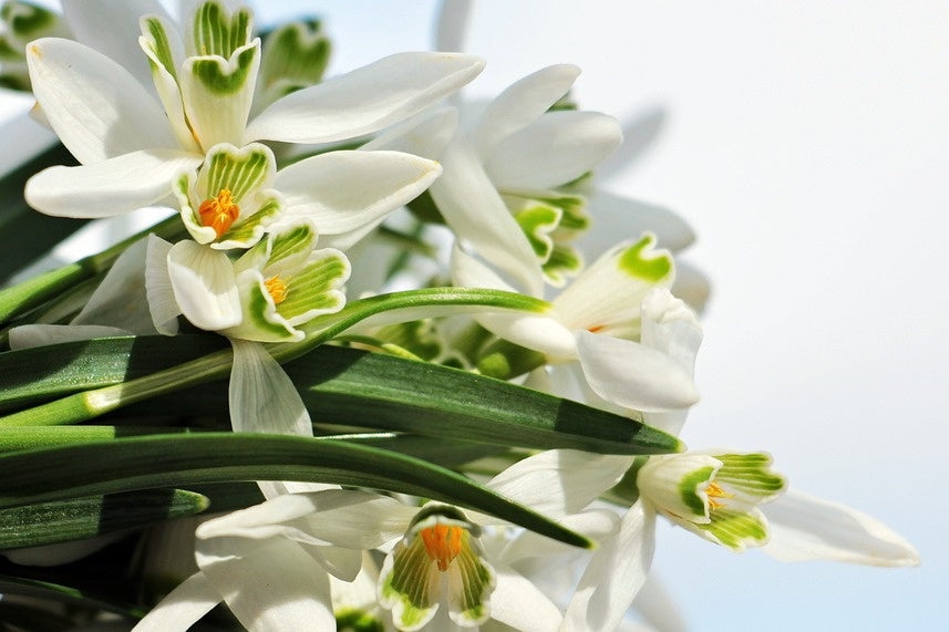 Ostern