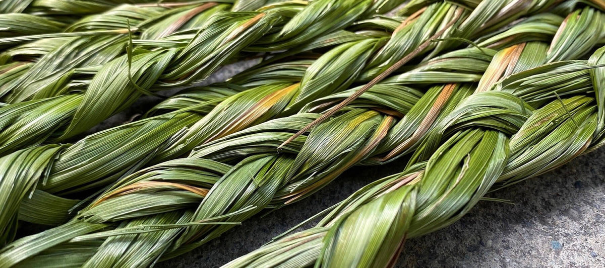 Sweetgras zöpfe