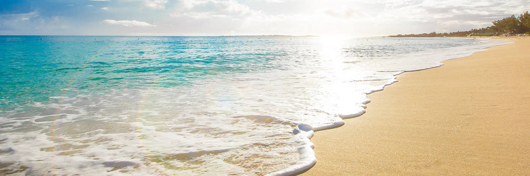 abaloneschale aus dem meer