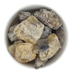 Copal Angola - Copaifera demeusii