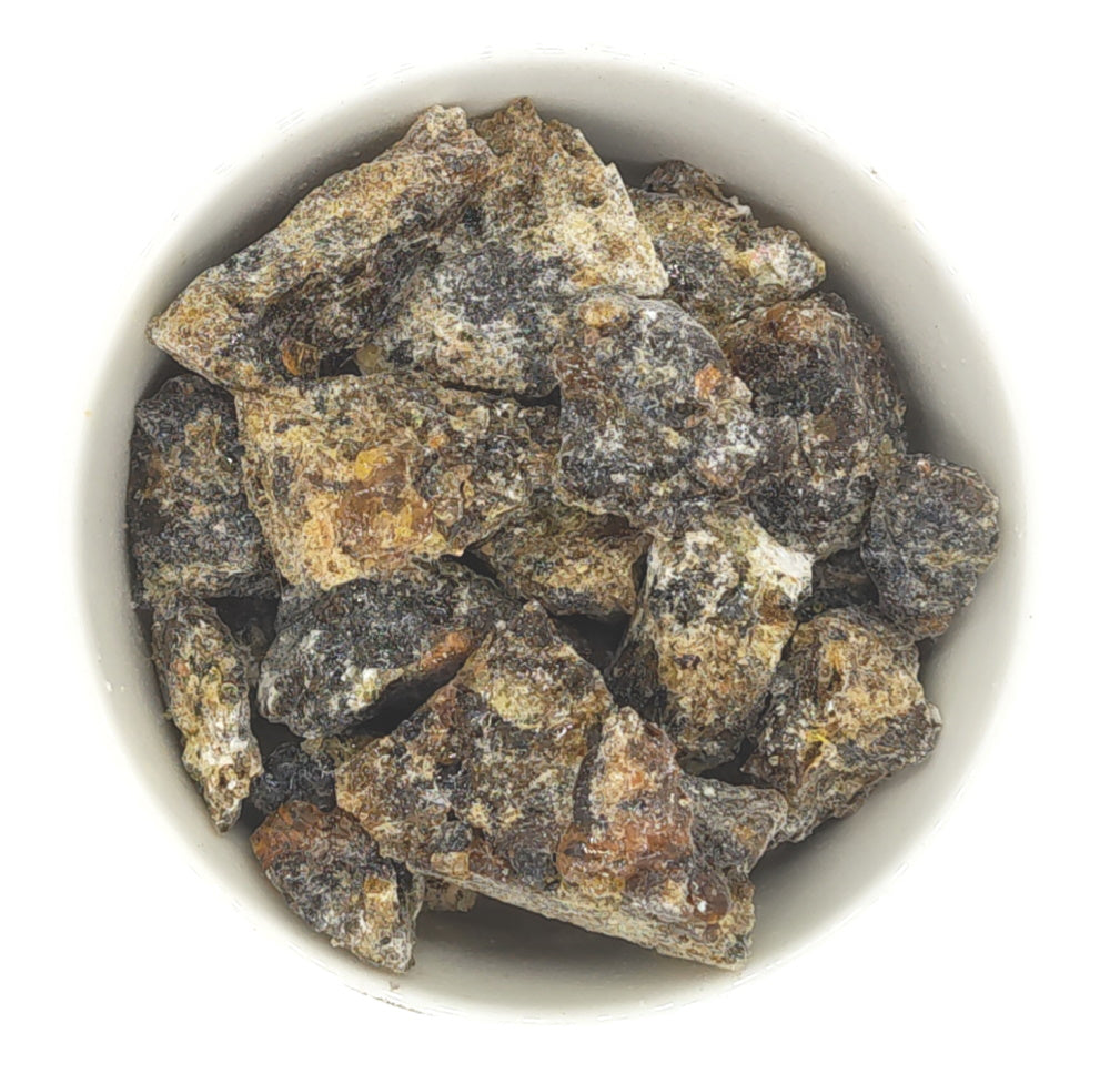 boswellia bullata