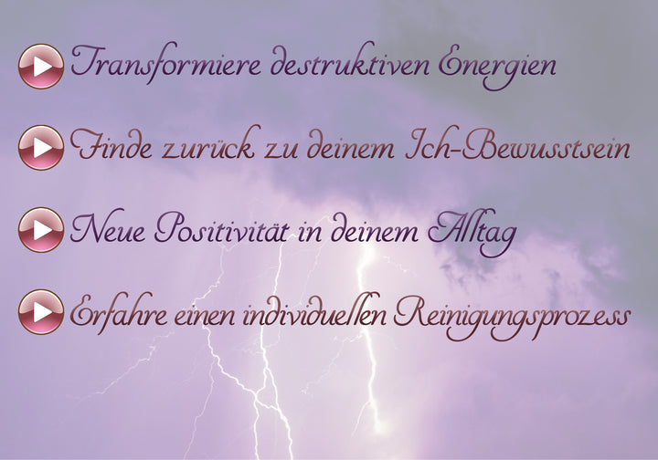 Die globale Transformation - Videokurs (Download)