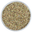 Fenchel süß (Bio)