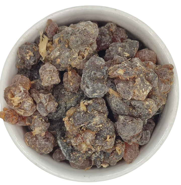 Kua Myrrhe aus Sokotra - Commiphora kua