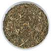 Odermenningkraut (Bio)