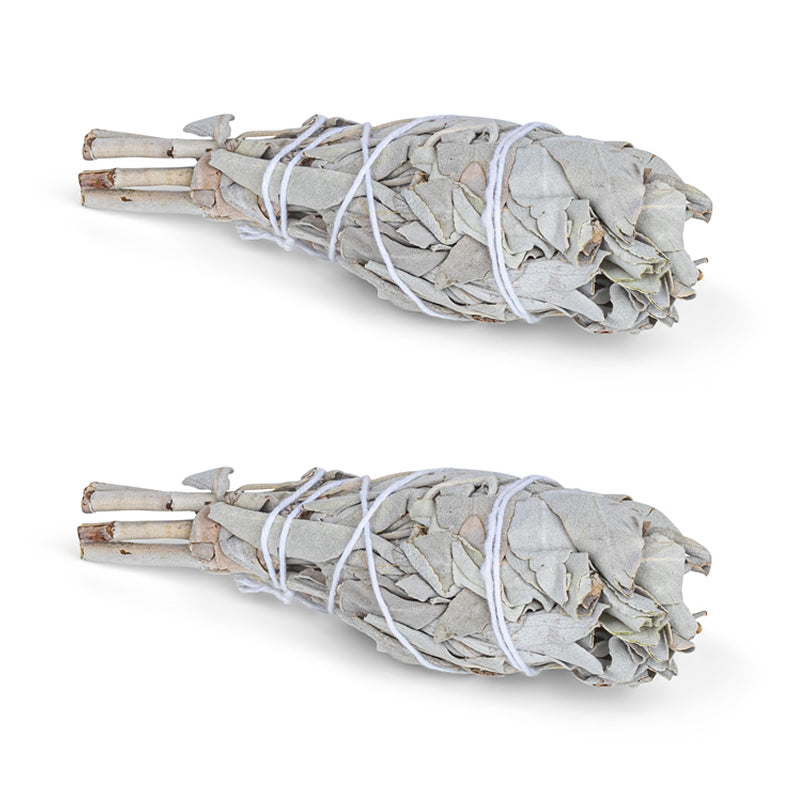 Weisser Salbei zwei Smudge Sticks