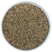 Thymian (Bio)