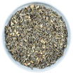 Wermutkraut (Bio)